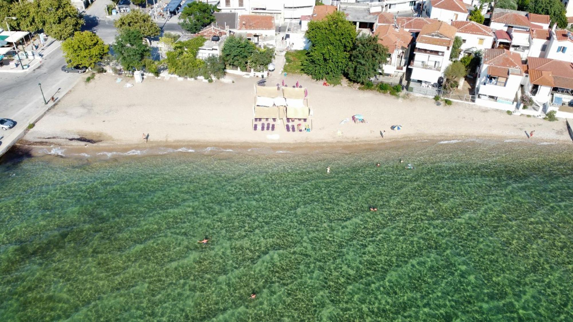 Skála Kallirákhis Beachfront Apartment Thassos חדר תמונה